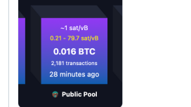 Tek başına madencilik yaptı, 347.000 dolarlık Bitcoin ödülü kaptı!