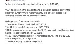 Tether neden bir stablecoin değil de merkez bankası gibi davranıyor