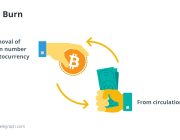 Token yakma işlemleri fiyatı nasıl etkiler? Ne olursa etkilemez?