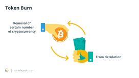 Token yakma işlemleri fiyatı nasıl etkiler? Ne olursa etkilemez?
