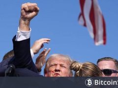 Trump Olayını Fırsata Çeviren Balina, Yükseliş Yaşayan Bu Altcoinde Yüklü Satış Yaptı! 8,3 Milyon Dolar Kar Etti!