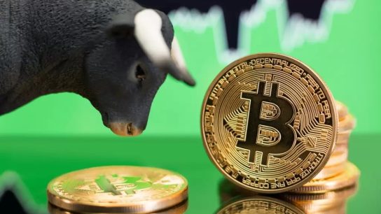 Ünlü Analist Diğer Analistlere İnanmayın Dedi, Bitcoin’de Boğanın Biteceği Tarihi Açıkladı! “Sadece Birkaç Ayımız Var! İşte Nedeni!”