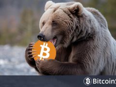 Ünlü Ekonomist, Bitcoin’de “Mini Ayı” Sezonunun Ne Zaman Biteceğini Açıkladı! “Daha Fazla Dayanamaz”