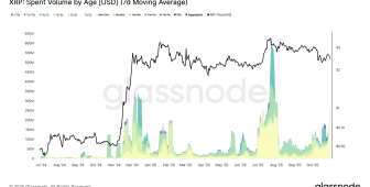 Uzun Vadeli XRP Sahipleri Günde 260 Milyon XRP Satıyor