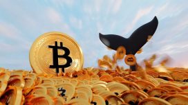 Veriler Açıklandı: Balinalar Bitcoin’de Pozisyon Değiştirdi! İşte Analist Şirketine Göre BTC Fiyatının Altına Düşemeyeceği Seviye!