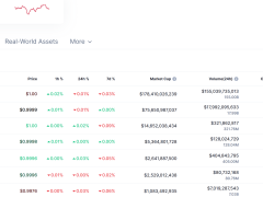 Wall Street stablecoin’lere akın ediyor: Citi, BVNK’ye milyonlar yatırdı