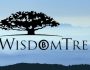 WisdomTree: Bitcoin 2030’da 250 Bin Doları Görebilir!