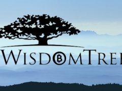 WisdomTree’nin Ethereum Fonu 300 Milyon Dolara Ulaştı