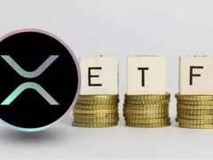 Dogecoin ve XRP’de ETF Heyecanı Yaşanıyor! Sosyal Medya Trendleri Olası ETF Onayına Olumlu Bakıyor! İşte Detaylar