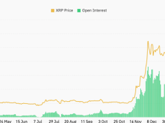 XRP fiyatındaki boğa flaması 14 dolar hedefine işaret ediyor