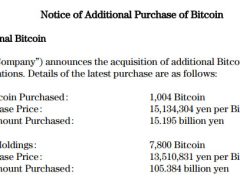 Yatırım devi en büyük ikinci Bitcoin alımını gerçekleştirdi: 1.004 BTC