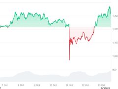 Yatırımcılar Binance borsasına tepkili ama BNB 1.370 dolarla rekor kırdı