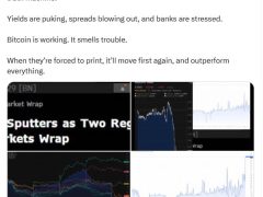 Yeniden bankacılık krizi mi? Bitcoin likidite sorununu lehine kullanabilir