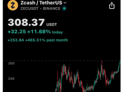 Zcash bir günde yüzde 30 fırladı