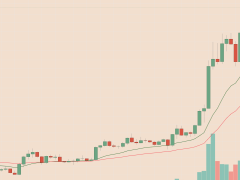 Zcash ve Dash neden yükseliş trendine girdi?